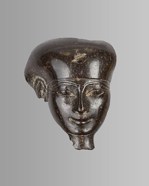 Artwork of Head with tripartite wig, probably from a shabti