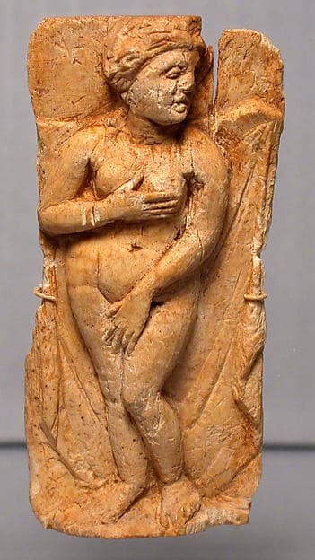 Artwork of Panel of Venus, “Pudica Type”