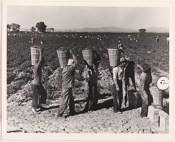 Artwork of Pea Pickers Line Up on Edge of Field at Weigh Scale, near Calipatria, Imperial Valley, California, February